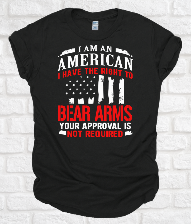 American Right to Bear Arms Tee Tshirt
