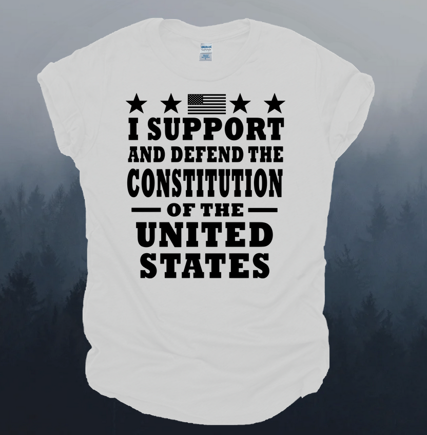 Defend The Constitution Tee Tshirt
