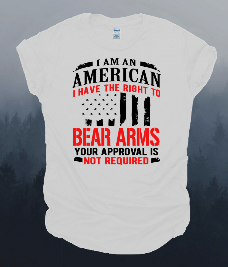 American Right to Bear Arms Tee Tshirt